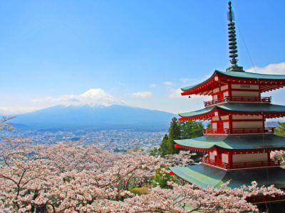 富士山河口湖　春のおすすめお花見スポット５選♪