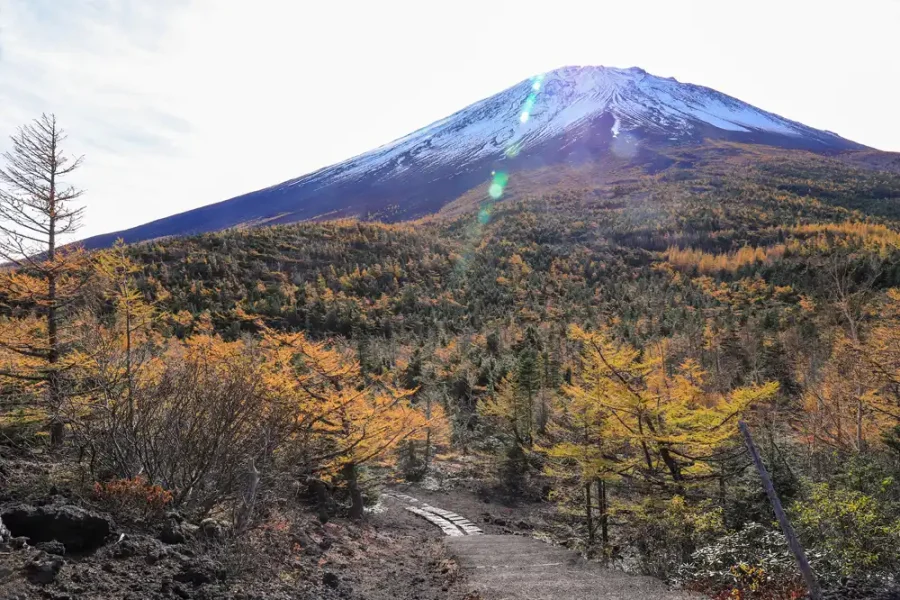 秋の富士山五合目奥庭