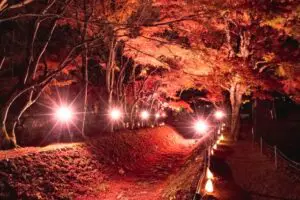 山梨県の紅葉狩りスポット10選！秋ならではの美しい自然を満喫しよう