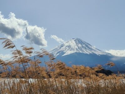 関東から日帰りも可能！山梨のおすすめ観光スポット完全ガイド