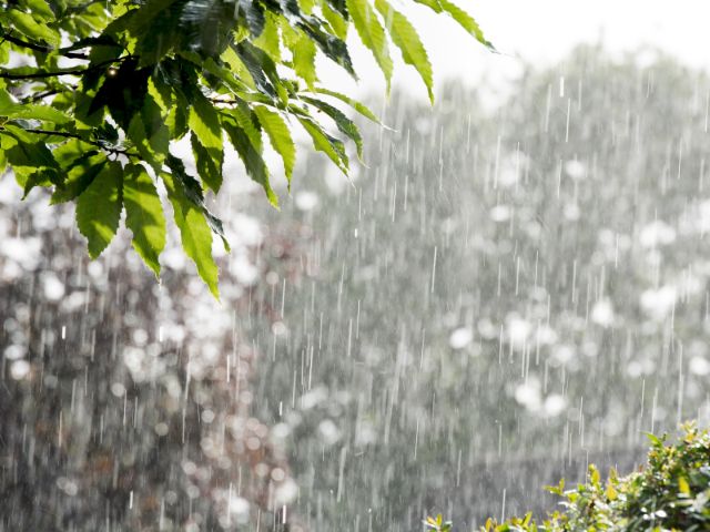 雨の日でも山梨でのおでかけを楽しもう 