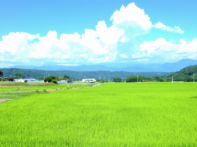 穴場スポット3.北杜市 白州町