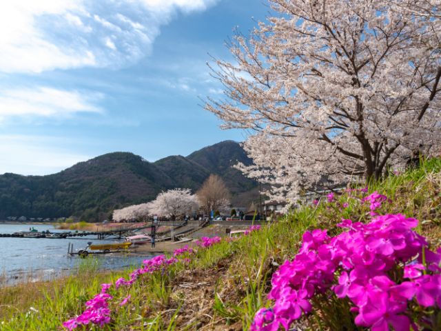 初心者にお勧めのサイクリングコース