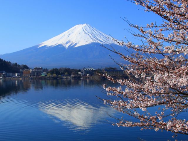 yamanashi