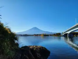 山梨の有名な橋5選！橋を見た後に立ち寄れるスポットも紹介 -｜『富士