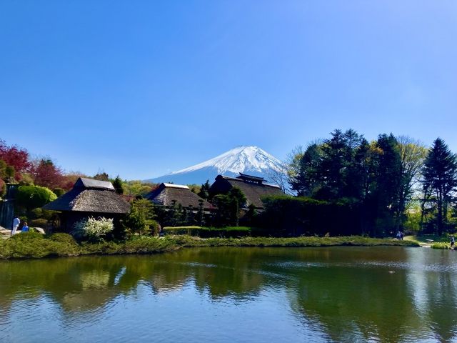 まったり過ごせる癒しの朝活スポット
