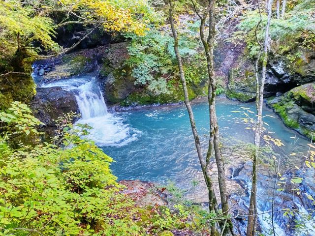 【中級者以上】吊り橋や滝が魅力の大柳川渓谷