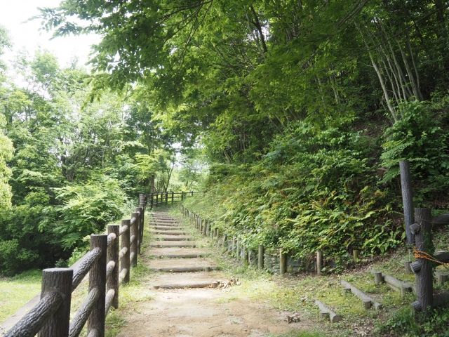 山梨で渓谷を歩く際の注意点