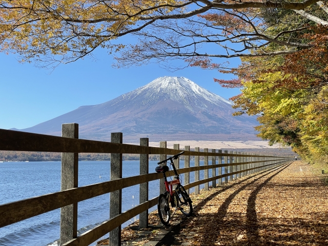 【アクティブ派向け】自然の中で遊べる大人向け体験