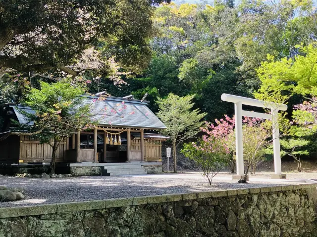 日本三大金運神社を徹底解説！歴史・御利益・参拝方法・周辺スポットを
