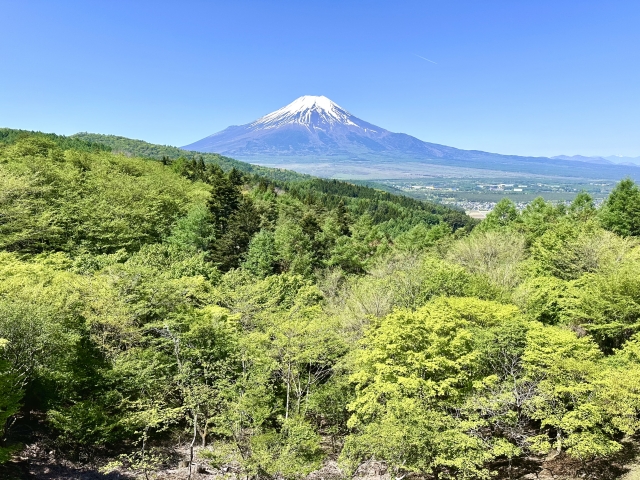 山梨の主要トレッキングコース一覧