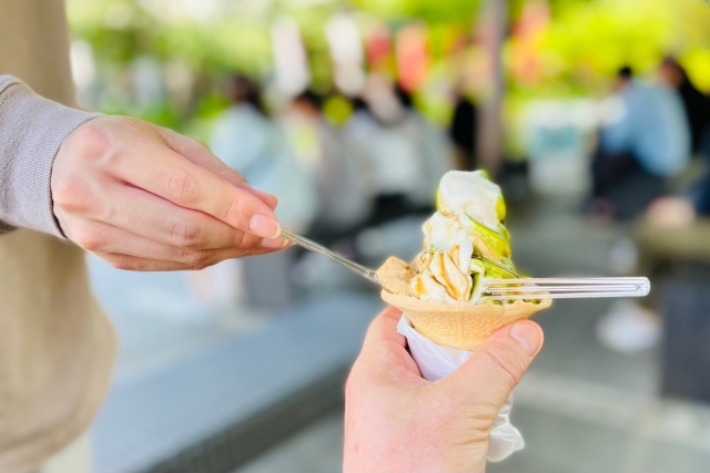 【山梨雨の日】大人も子どもも楽しめるドライブコース