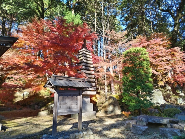 【栃木県】圓通寺