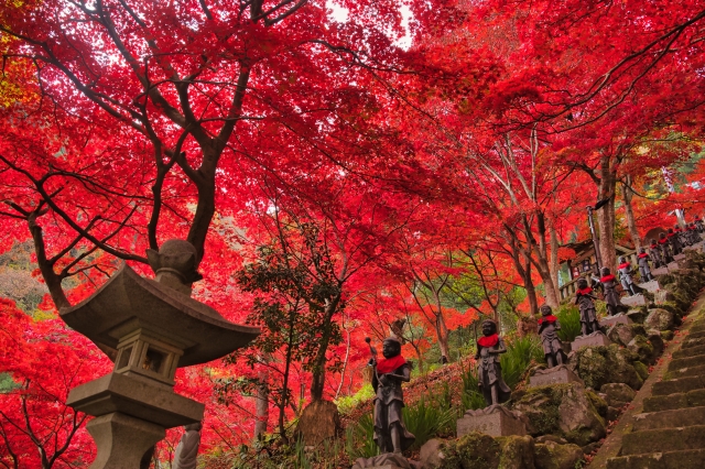【神奈川県】大山