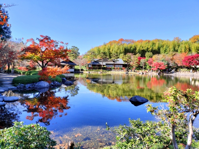【東京都】国営昭和記念公園