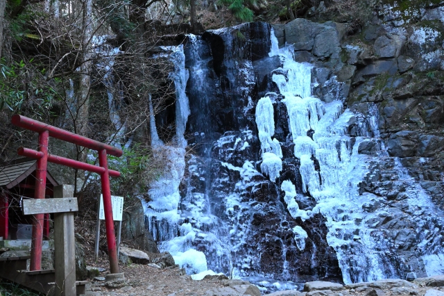 富士五湖・冬の絶景コース