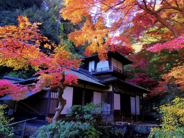 【神奈川県】三溪園