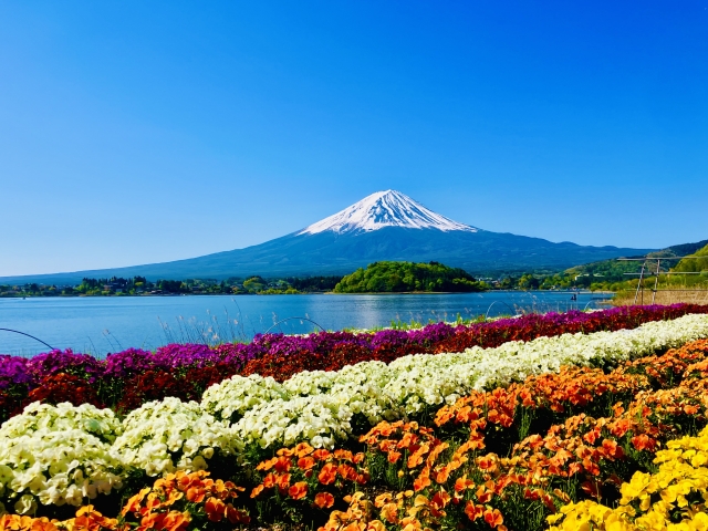 【山梨・河口湖】富士五湖をめぐる王道デートコース