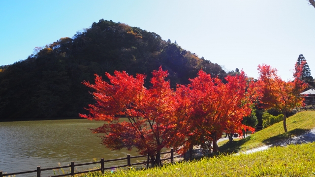 【千葉県】亀山湖