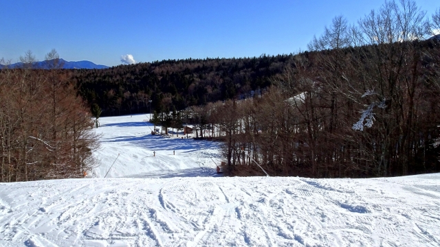 体験&アクティビティ3選