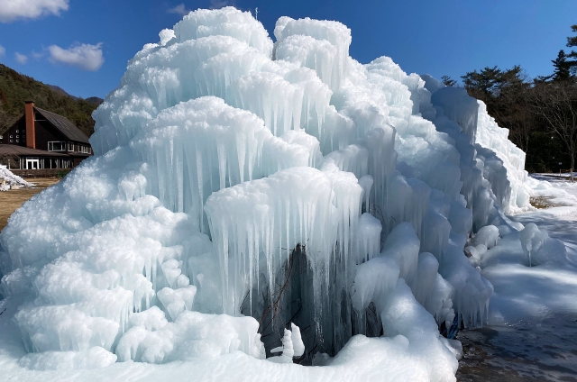 【冬限定】富士山周辺のおすすめイベント