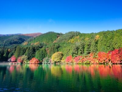 上京疲れの新社会人へ「お疲れリセット」山梨旅行!モデルコース付