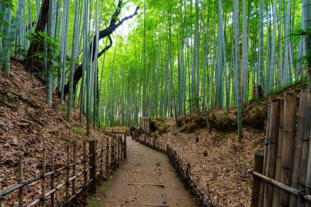 感性豊かにゆっくり過ごせる一人旅