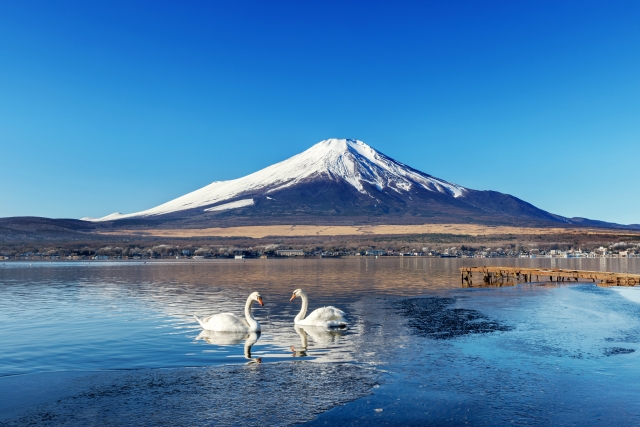 湖・カフェ・温泉で静かに過ごせる「山中湖(山梨)」