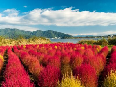 10月の山梨観光におすすめのモデルコース3選!紅葉・味覚・絶景