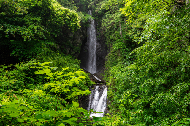 山梨中部(甲府・勝沼周辺)の穴場スポット3選