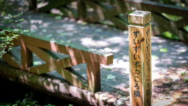 山梨南部エリア(富士山麓・富士五湖周辺)の穴場スポット3選