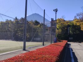 紅葉の時期です。